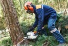 Lower Southgatetree-cutting-services-21.jpg; ?>